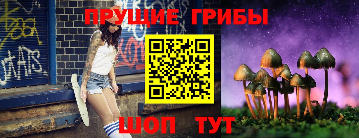 Псилоцибиновые грибы Cubensis  Вход с VPN  закладки  Гусь-Хрустальный 